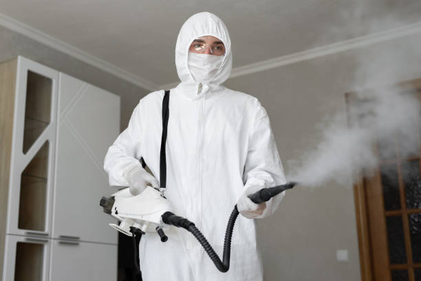 Why You Should Choose Our Mold Remediation Services in Lake Hiawatha, NJ